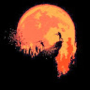 Meet your Posher, Show